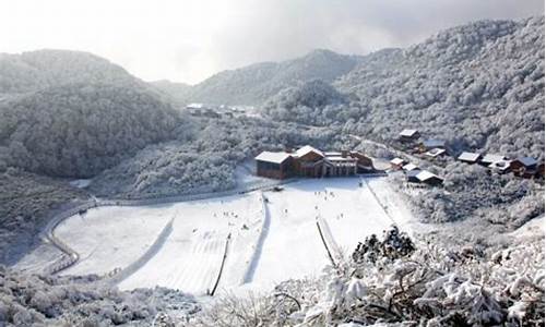 金佛山开始下雪了吗_金佛山天气预报下雪吗