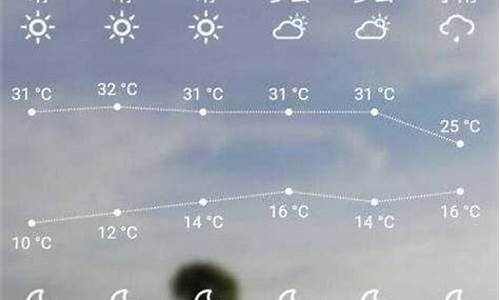 叶城天气预报15天天气_叶城天气预报30天