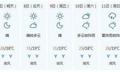 泰安30天天气预报精准_泰安30天天气预报精准报告